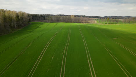 Poland-Agriculture---Aerial-drone-descending-over-green-fields-with-tractor-rut-traces-from-a-high-point,-Pieszkowo
