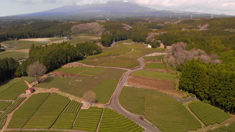 Stunning-aerial-drone-scenery-over-Obuchi-Sasaba-green-tea-farm-in-Japan