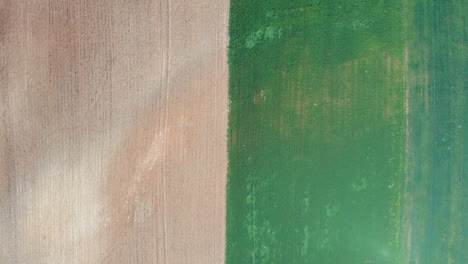 Aerial-view-of-a-field-with-green-sprouting-young-vegetation-and-a-yellow-ungreen-field-surface,-abstract-impression