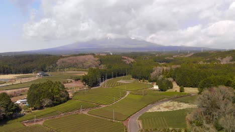 Right-flying-aerial-drone-over-green-tea-fields-with-cloudy-mount-fuji-in-background