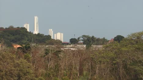 Rainforest-around-the-Panama-City,-Panama