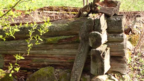 Faule-Überreste-Eines-Antiken-Holzgehöfts-An-Sonnigen-Tagen,-Statische-Ansicht