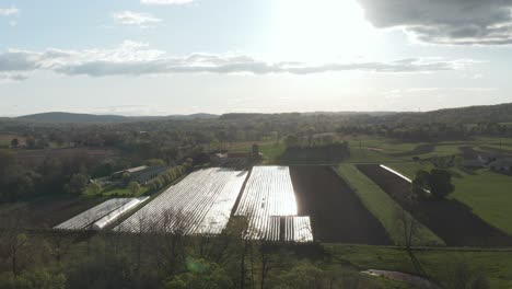 High-aerial-of-vegetable-farm-plantation-at-sunrise