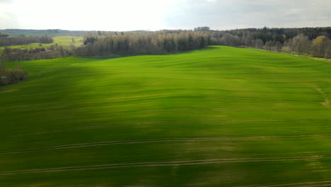 Lush-green-fields-with-tyre-tracks-in-the-Polish-countryside