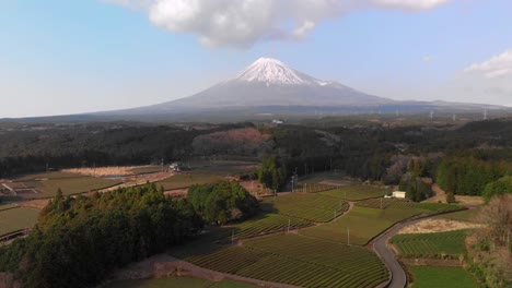 High-above-Aerial-push-out-at-beautiful-green-tea-fields-with-Mount-Fuji