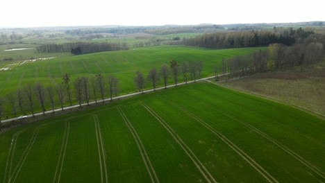Aerial-landscape-with-tractor-tracks-in-the-lush-green-fields