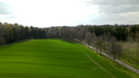 Lush-green-fields-surrounded-by-forest-in-the-Polish-countryside