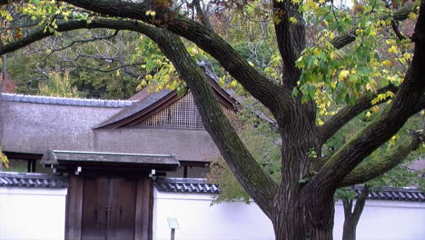 Ummauerter-Eingang-Zum-Japanischen-Garten-Und-Haus-Im-Herbst