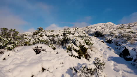 Schwenk-Auf-Schneebedeckte-Hügel-Mit-Busch-Und-Pflanzen-An-Sonnigen-Tagen-Und-Blauem-Himmel