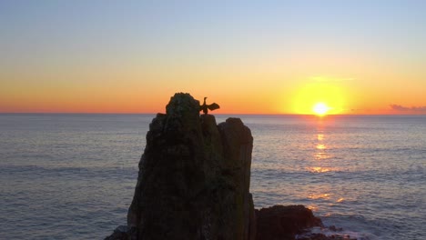 Silhouette-Of-Seabird-Flapping-Wings-On-Top-Of-Cathedral-Rocks-During-Sunset-In-Kiama,-NSW,-Australia