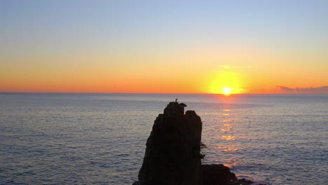 Bird-On-Cathedral-Rocks-With-Sunset-And-Ocean-Views-In-Kiama,-NSW,-Australia