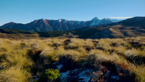 Idílico-Parque-Nacional-De-Fiordland-Con-Un-Paisaje-Increíble-Durante-Un-Clima-Hermoso-En-Nueva-Zelanda