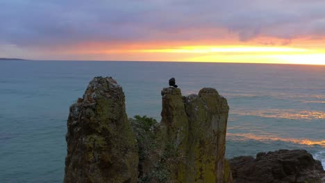 Aquatic-Bird-Preening-Feather-On-Top-Of-Cathedral-Rocks-With-Scenic-View-Of-Sunset-And-Seascape