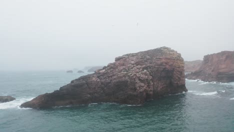 Wilde-Seevögel,-Die-über-Nebeligem-Ozean-Mit-Seestapeln-In-Portugal-Fliegen