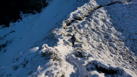 Tilt-up-shot-of-hiker-mountaineering-on-snowy-trail-during-sunlight