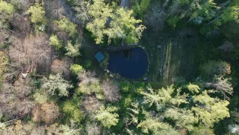 Top-down-shot-overlooking-a-forest-and-a-pond