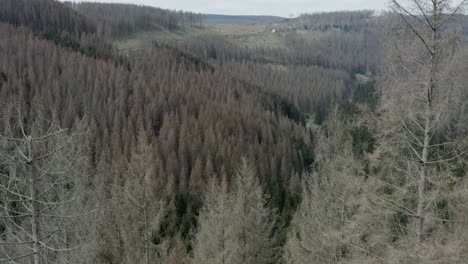 Drone-Aerial-views-of-the-Harz-National-Park-in-central-germany