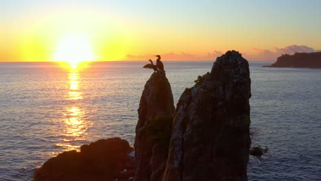 Seevögel-Sitzen-Auf-Den-Felsen-Der-Kathedrale-Während-Eines-Wunderschönen-Sonnenuntergangs-Im-Ozean-In-Kiama,-Nsw,-Australien