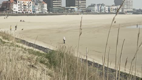 Jemand,-Der-An-Einem-Strand-In-Den-Niederlanden-Spazieren-Geht