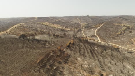 Barren-Forest-Hills-With-Dead-Trees-After-A-Wildfire-In-Portugal