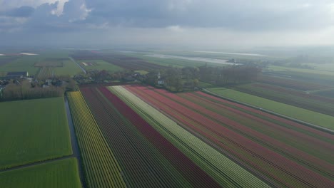 Dunstiger-Morgen-Mit-Verträumtem-Sonnenlicht-über-Ländlichem-Land-In-Holland-Mit-Tulpen