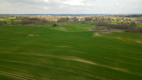 Large-green-field-in-countryside-of-Poland,-aerial
