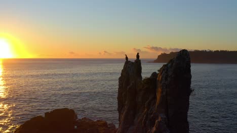 Silhouetted-Cathedral-Rocks-and-Cormorants-With-Vibrant-Sunlight-Reflections-At-The-Ocean-During-Sunrise-near-Kiama,-NSW,-Australia---Aerial-Shot
