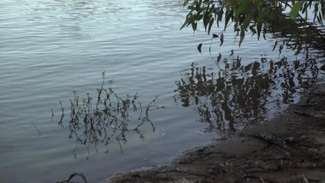 River-shoreline-reflections-Australian-camping-outback