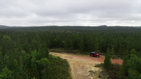 Aerial:-Drone-flying-over-a-forest-of-green-trees-as-it-follows-a-dirt-road-on-an-overcast-in-Australia