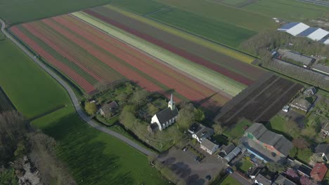 Rural-community-of-Benningbroek-in-countryside-of-Holland-with-church-and-tulips