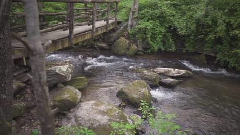 Panning-shot-of-a-bridge-and-a-river-in-a-forest