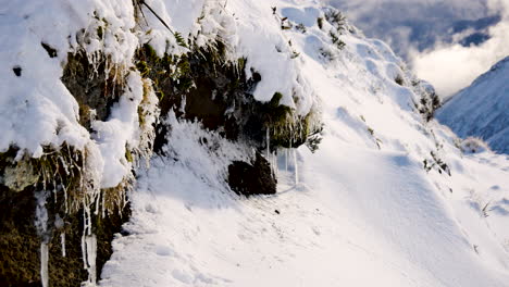 Pan-shot-of-snowy-bush-and-plants-with-frozen-icicles-during-sunny-day-in-mountain-hike-in-New-Zealand