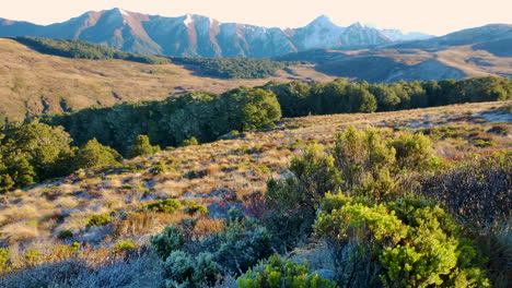 Ruta-De-Senderismo-Por-El-Paisaje-Natural-De-Nueva-Zelanda-En-El-Parque-Nacional-De-Fiordland-Con-Montañas-Como-Telón-De-Fondo