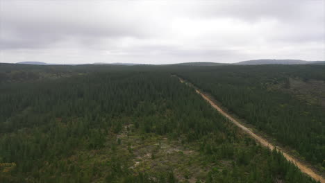Aerial:-Drone-flying-over-a-forest-of-green-trees-as-it-moves-towards-the-horizon-overcast-in-Australia
