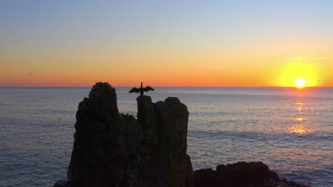 Bird-Cormorant-Flapping-Its-Wings-While-On-Sea-Stack-Silhouette-at-Golden-Hour-Calm-Ocean-In-Kiama,-NSW,-Australia