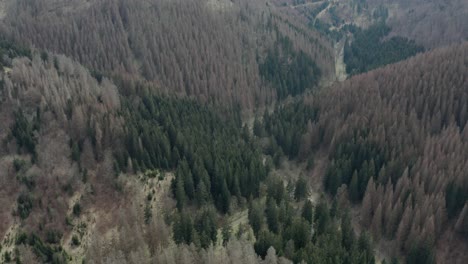 Vistas-Aéreas-De-Drones-Del-Parque-Nacional-De-Harz-En-Alemania-Central