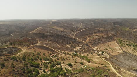 Panorama-Of-A-Burnt-Woodland-After-Bush-Wild-Fire-On-Forest-Mountains-Of-Portugal
