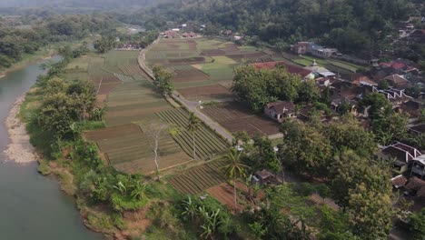 Aerial-view,-a-rural-view-consisting-of-rivers,-rice-fields-and-houses-in-Selopamioro-village,-Bantul,-Yogyakarta