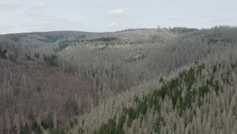 Drone-Aerial-views-of-the-Harz-National-Park-in-central-germany