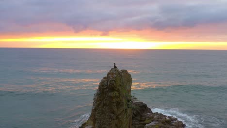 Bird-Sits-On-Cathedral-Rocks,-Sea-Stack-At-Sunset-In-Kiama-Downs,-NSW,-Australia