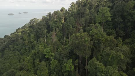 Aerial-shot-of-dense-tropical-forest-with-ocean-and-islands,-Koh-Chang