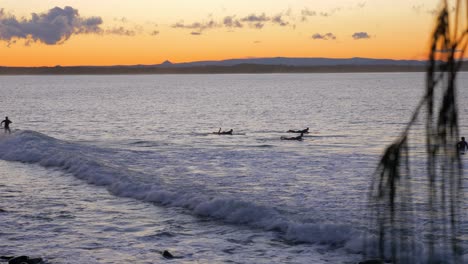 Surfers-Enjoying-The-Ocean-Waves-Of-Little-Cove-Beach-In-Queensland,-Australia-At-Dusk