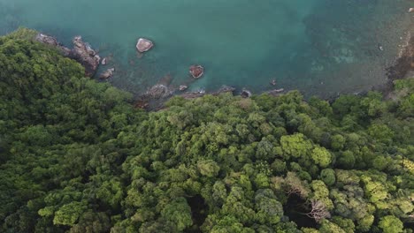 Aerial-footage-of-pristine-tropical-woodland-rain-forest-and-turquoise-ocean-with-rocky-coastline