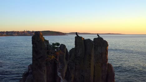 Aerial-view-of-Cormorants-Nesting-On-Top-Of-Cathedral-Rocks-at-Sunrise,-NSW,-Australia