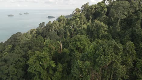 Aerial-View-Gliding-Over-Dense-Tropical-Jungle-Over-Lush-Green-Trees-Revealing-Ocean-and-Coastal-Village-on-Koh-Chang-Island