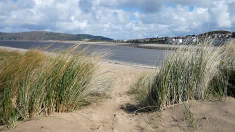 Beach-grass-blowing-in-breeze-on-sand-dune-island-coastal-holiday-waterfront-landscape-slow-right-dolly
