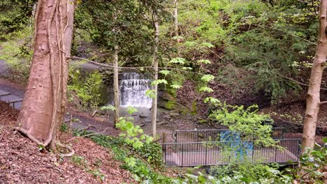 Waterfall-in-Pittencrieiff-Park