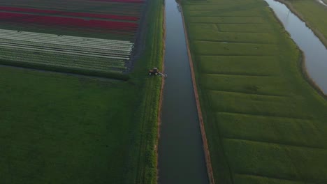 Dutch-countryside-with-green-grass-land,-tulip-field-and-traditional-windmill