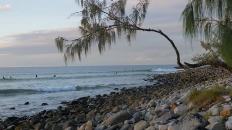 Surfers-In-Wavy-Ocean-At-Dusk-In-Little-Cove-Beach,-Noosa-Heads,-Queensland