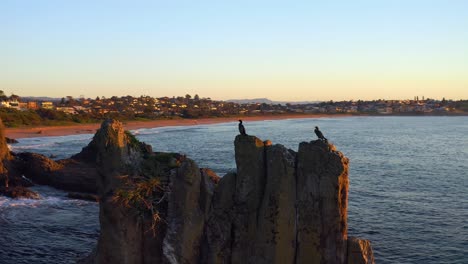 Silhouetted-Aquatic-Birds-Perching-On-Famous-Cathedral-Rocks-Near-Kiama-Township-In-New-South-Wales,-Australia